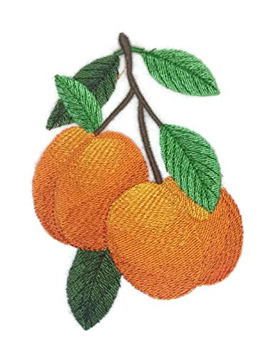 Nature Weaved in Threads, Amazing Fruits [Peaches] [Custom and Unique] Embroidered Iron on/Sew Patch [4.8" x "3.2"] [Made in USA]