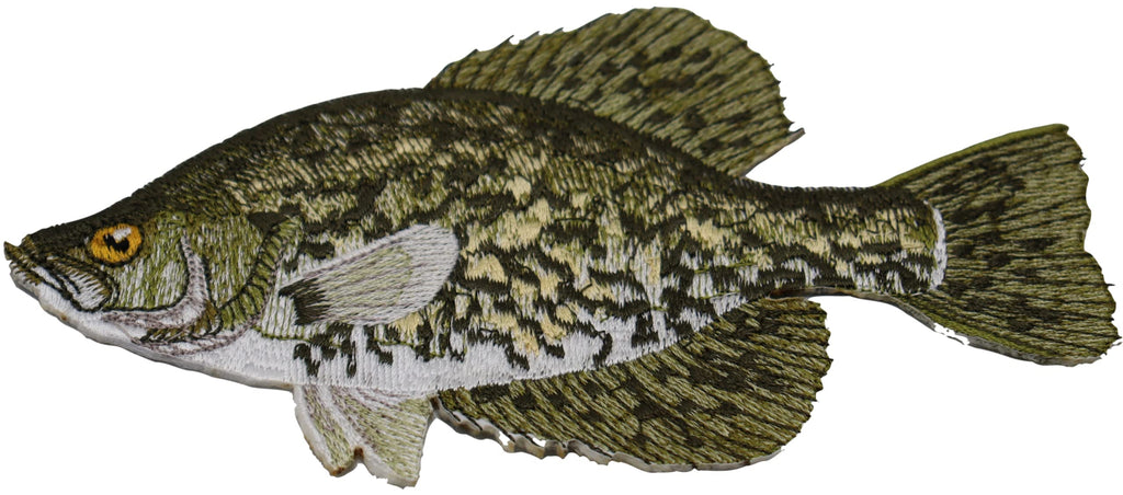 Nature's Bounty Beautiful Custom Fish Portraits [Crappie] Embroidered Iron On/Sew Patch (6" x 5") Made in USA]