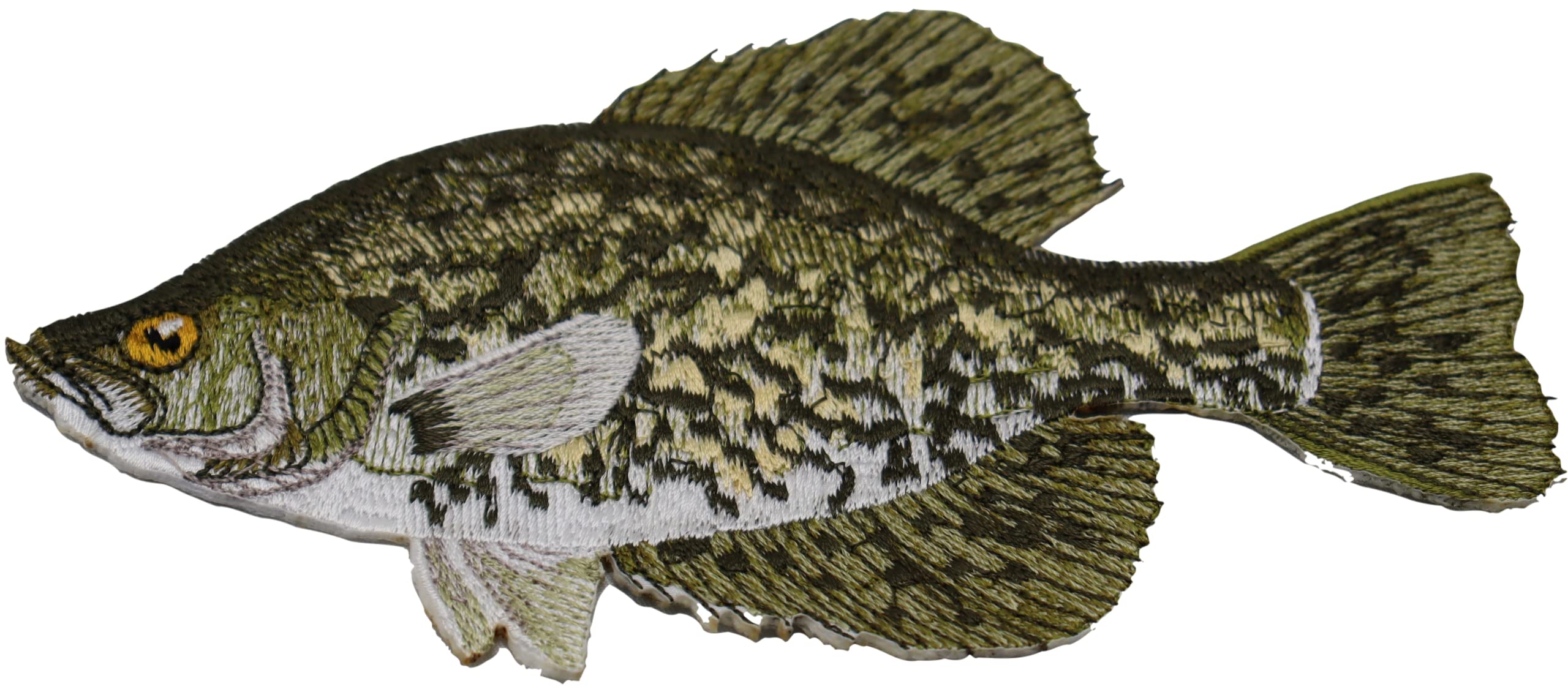 Nature's Bounty Beautiful Custom Fish Portraits [Crappie] Embroidered Iron On/Sew Patch (6" x 5") Made in USA]
