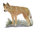 Nature Weaved in Threads, Animal Kingdom [Dingo [] / [5.74"4.82"] [] embroidered iron-on patch