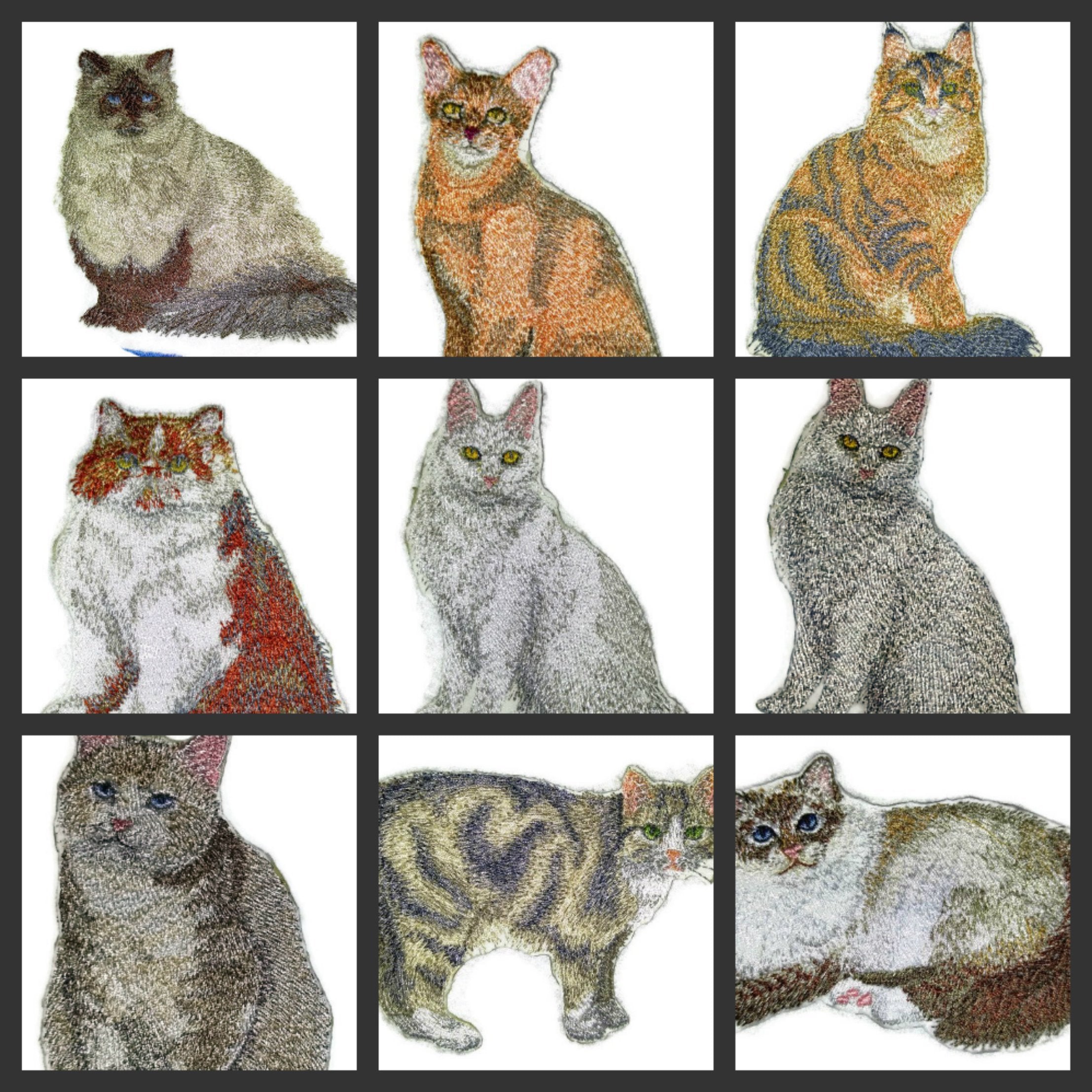 Impresionantes retratos de gatos personalizados [Gato Calicó] Parche bordado para planchar o coser [10 x 7,6 cm] Hecho en EE. UU.