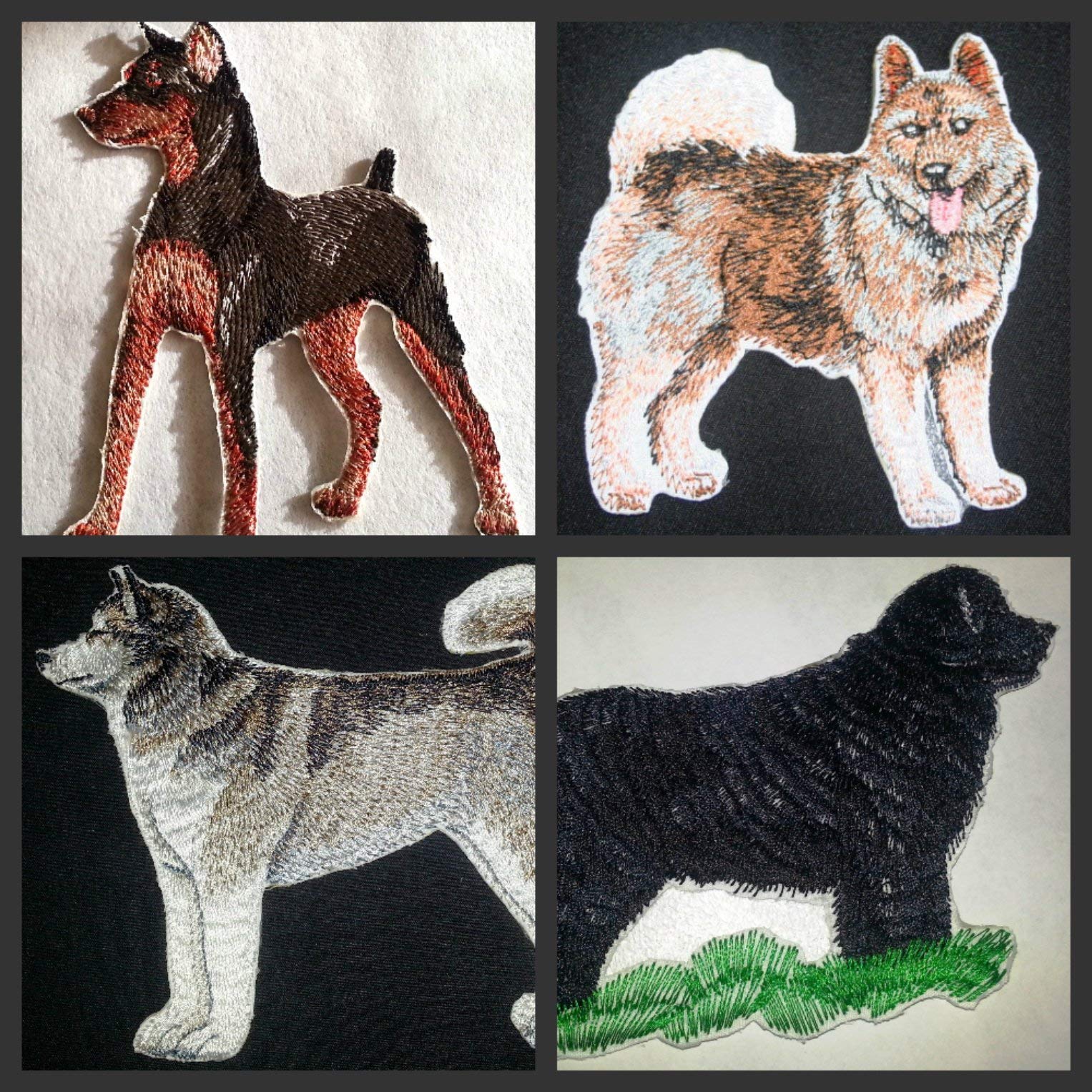 Impresionantes retratos de perros personalizados [Terranova] Parche bordado para planchar o coser [11,4 x 10,7 cm] [Hecho en EE. UU.]