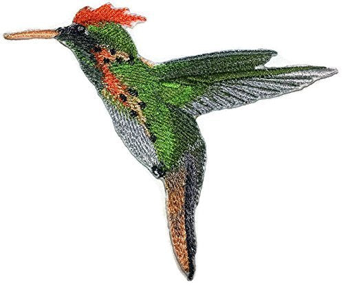 BeyondVision Nature Weaved in Threads, Amazing Birds Kingdom [Tufted Coquette Hummingbird ] [Custom and Unique] Embroidered Iron on/Sew Patch (5.49" x 4.34") [Made in USA]