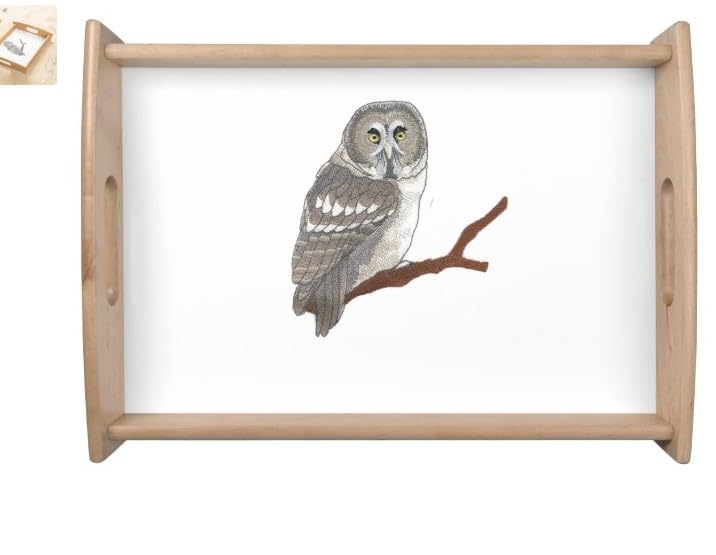 Parche bordado para planchar y coser "Aves personalizadas Beyond Vision" [Búho real] (14,5 cm de ancho x 15,8 cm)