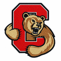 Bear and red letter patch