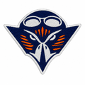 Bird with aviator goggles patch cleanup