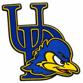 Blue and yellow bird patch