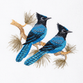 Steller’s Jay Pair  on Pine Branches 5.37" x 4.8" Embroidered Appliqué Iron-On or Sew-On