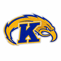Blue K and bird patch