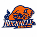Bucknell Bison patch cleanup
