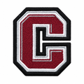C-shaped patch primary image