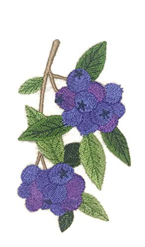 Nature Weaved in Threads, Amazing Fruits [Blueberry ] [Custom and Unique] Embroidered Iron on/Sew Patch [5" x "3."] [Made in USA]
