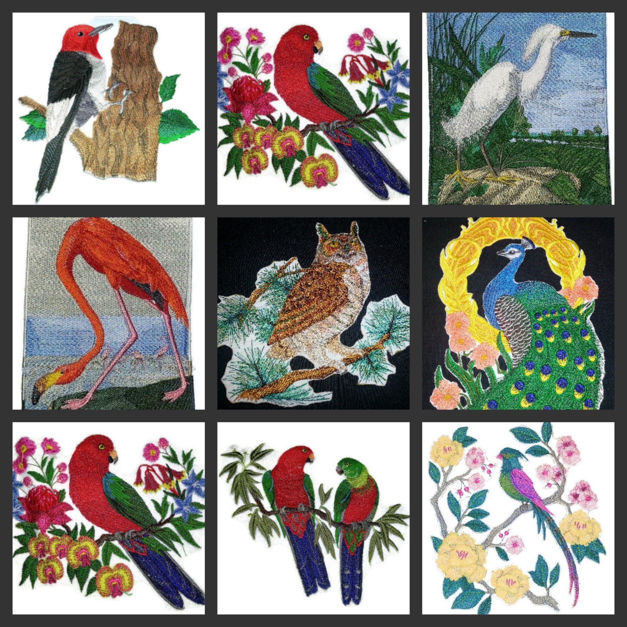 Nature Weaved in Threads, Amazing Birds Kingdom [Australian King Parrots in Eucalyptus] [Custom and Unique] Embroidered Iron on/Sew Patch (6.6" x 5.9") [Made in USA]