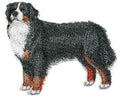 Bernese Mountain Dog (4.5" x 4.5") embroidered iron-on patch