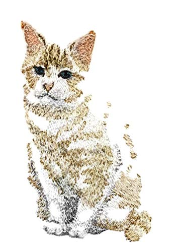 Impresionantes retratos de gatos personalizados [Angle The Cat] Parche bordado para planchar o coser [11,4 cm x 7,9 cm] Hecho en EE. UU.