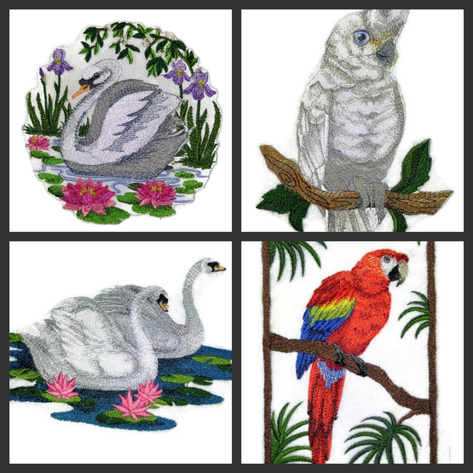 Nature Weaved in Threads, Amazing Birds Kingdom [Swan in The Pond] [Custom and Unique] Embroidered Iron on/Sew Patch (5" x 5.4") [Made in USA]