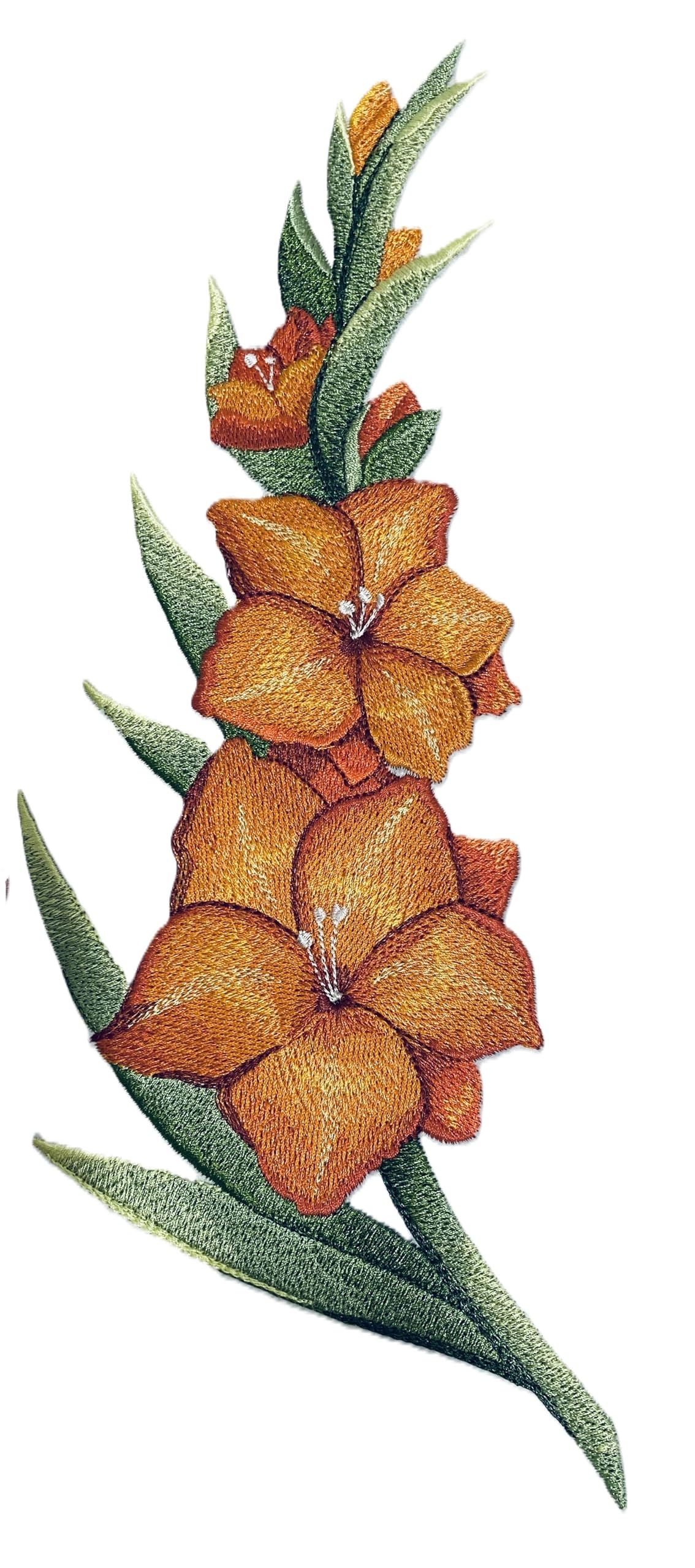 Beyondvision Custom Flower Realistic Gladiolus Spray Embroidered Iron on/Sew Patch (64.58" x 11.74")