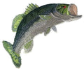 Largemouth Bass (6" x 3") embroidered iron-on patch