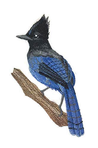 Amazing Steller's Jay on Branch Embroidered Iron on/Sew Patch (4.1" x 6.83") [Made in USA] by BeyondVIsion