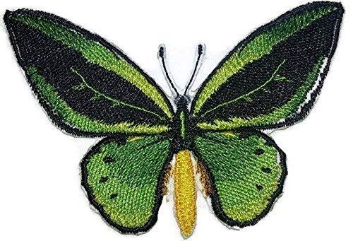 Parche bordado para planchar o coser, personalizado y único, de mariposas coloridas increíbles [alas de pájaro verde común] [4,2" x 2,673"], hecho en EE. UU.