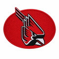 Cardinal patch photo cleanup