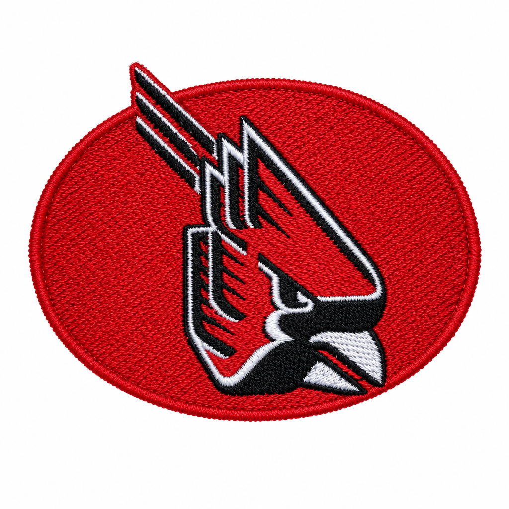 Cardinal patch photo cleanup