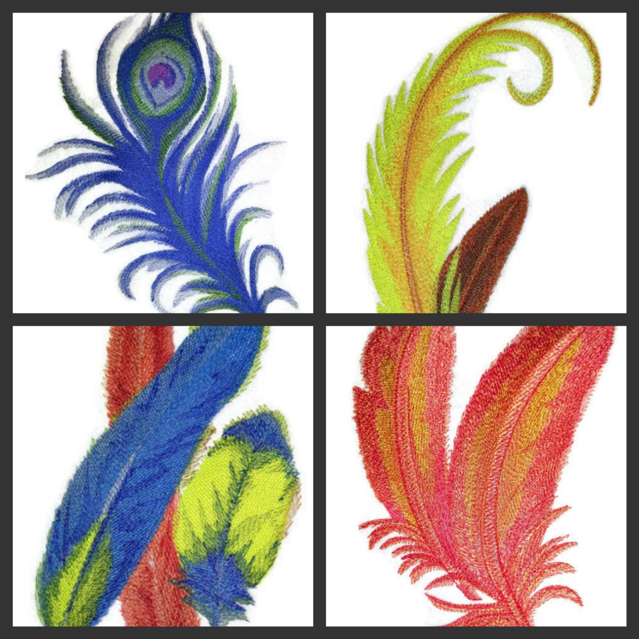 Custom and Unique Fancy Feather Collection [Hyacinth Macaw Feathers] Embroidered Iron on/Sew patch (9.43" x 3.82") [Made in USA]
