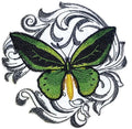Common Green Birdwing Butterfly with Baroque (5" x 5") embroidered iron-on patch