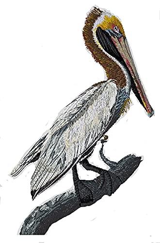 BeyondVision Nature Weaved in Threads, Amazing Birds Kingdom [Brown Pelican ] [Custom and Unique] Embroidered Iron on/Sew Patch (7" x 4.5") [Made in USA]