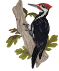 Bird Pileated Woodpecker (6.89" x 9.49") embroidered iron-on patch