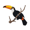 Clean toucan patch photo