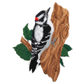 Clean woodpecker patch photo