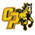Cleaned and resized CP horse patch