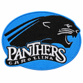 Cleaned Panthers patch