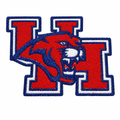 Cleaned wildcat patch image