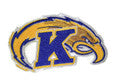 Kent State Golden Flashes