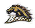 Western Michigan Broncos