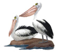 Nature weaved in threads, Birds Kingdom [Australian Pelicans ] [] / (7" x 6.5") [] embroidered iron-on patch