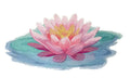 Soft and Serene Water Lily [Lotus] (12.68" x 6") embroidered iron-on patch