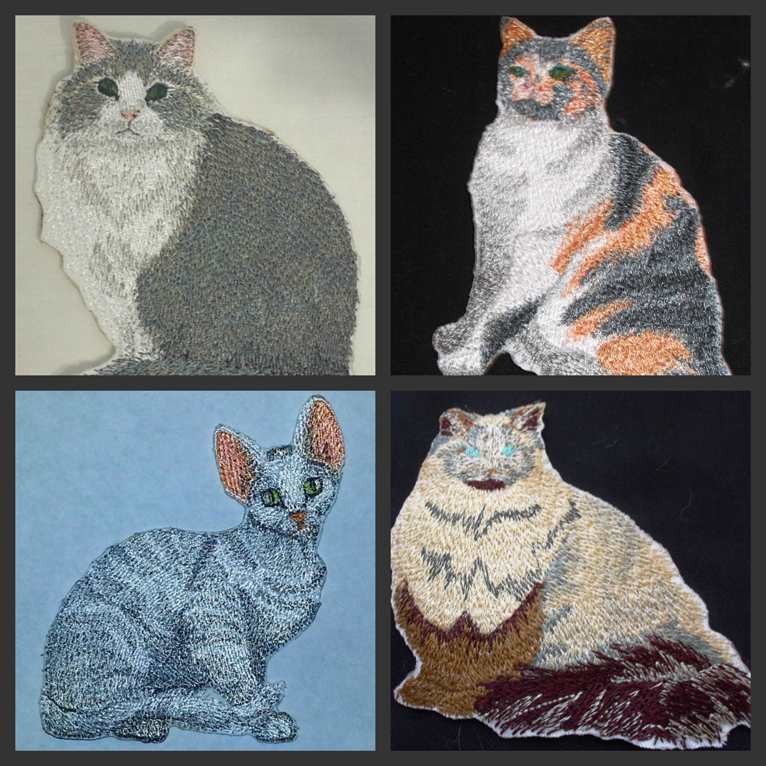Impresionantes retratos de gatos personalizados [Gata Gracie] Parche bordado para planchar o coser [11,4 cm x 7,6 cm] Hecho en EE. UU.