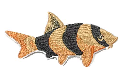 Nature's Magic Beautiful Custom Fish Portraits [Clown Loach ] Embroidered Iron On/Sew Patch (3.87" x 2.35") Made in USA