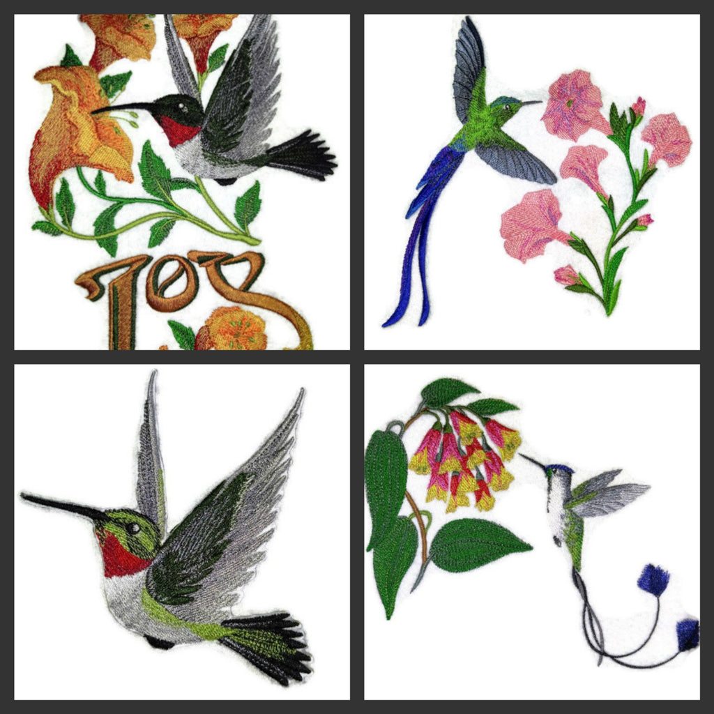 Nature Weaved in Threads, Amazing Birds Kingdom [Longtail Sylph Hummingbirds] [Custom and Unique] Embroidered Iron on/Sew Patch (7.8" x 7.41") [Made in USA]