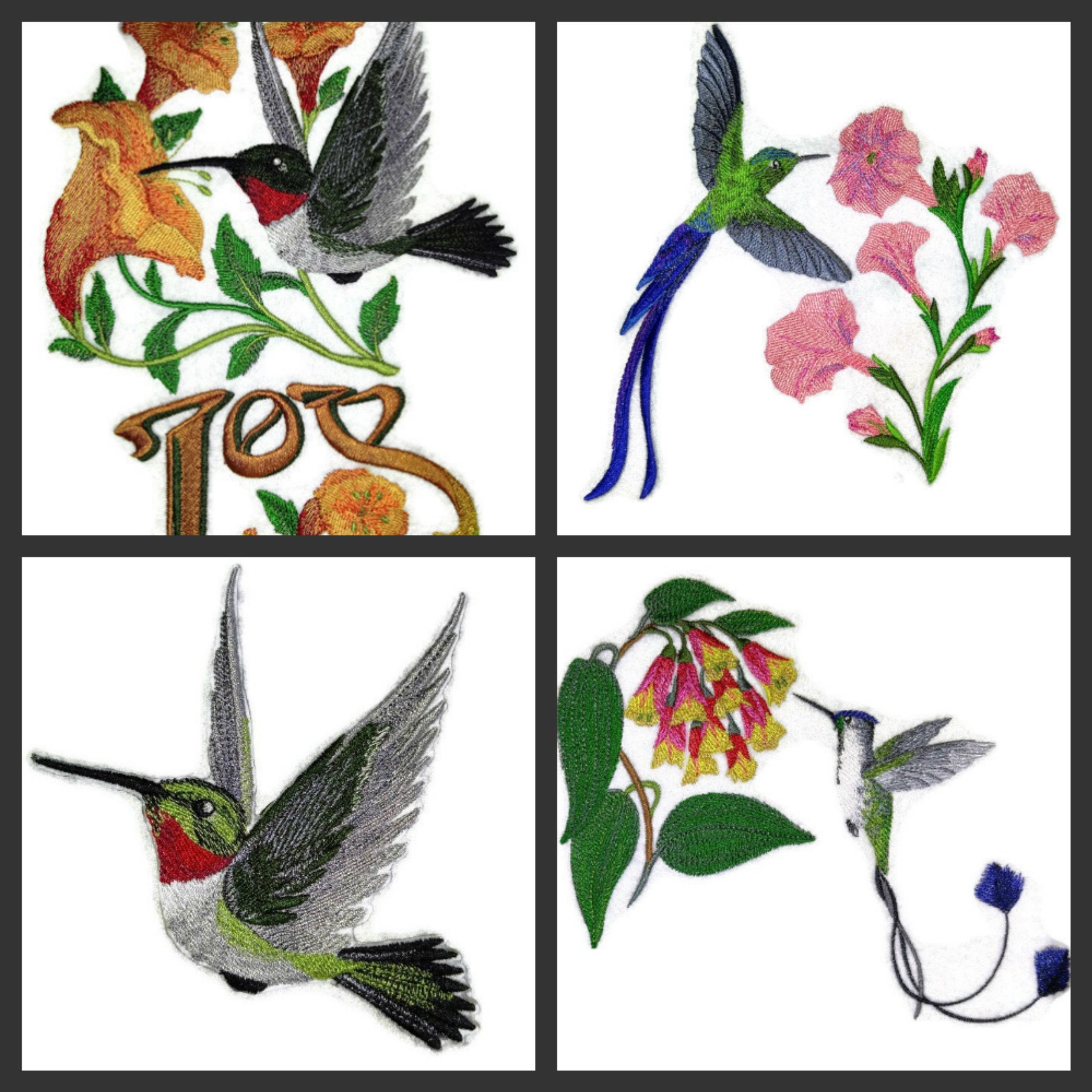Nature Weaved in Threads, Amazing Birds Kingdom [Longtail Sylph Hummingbirds] [Custom and Unique] Embroidered Iron on/Sew Patch (7.8" x 7.41") [Made in USA]