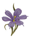 Iris Flower Blue-Eyed Grass (5.78" x 7.37") embroidered iron-on patch
