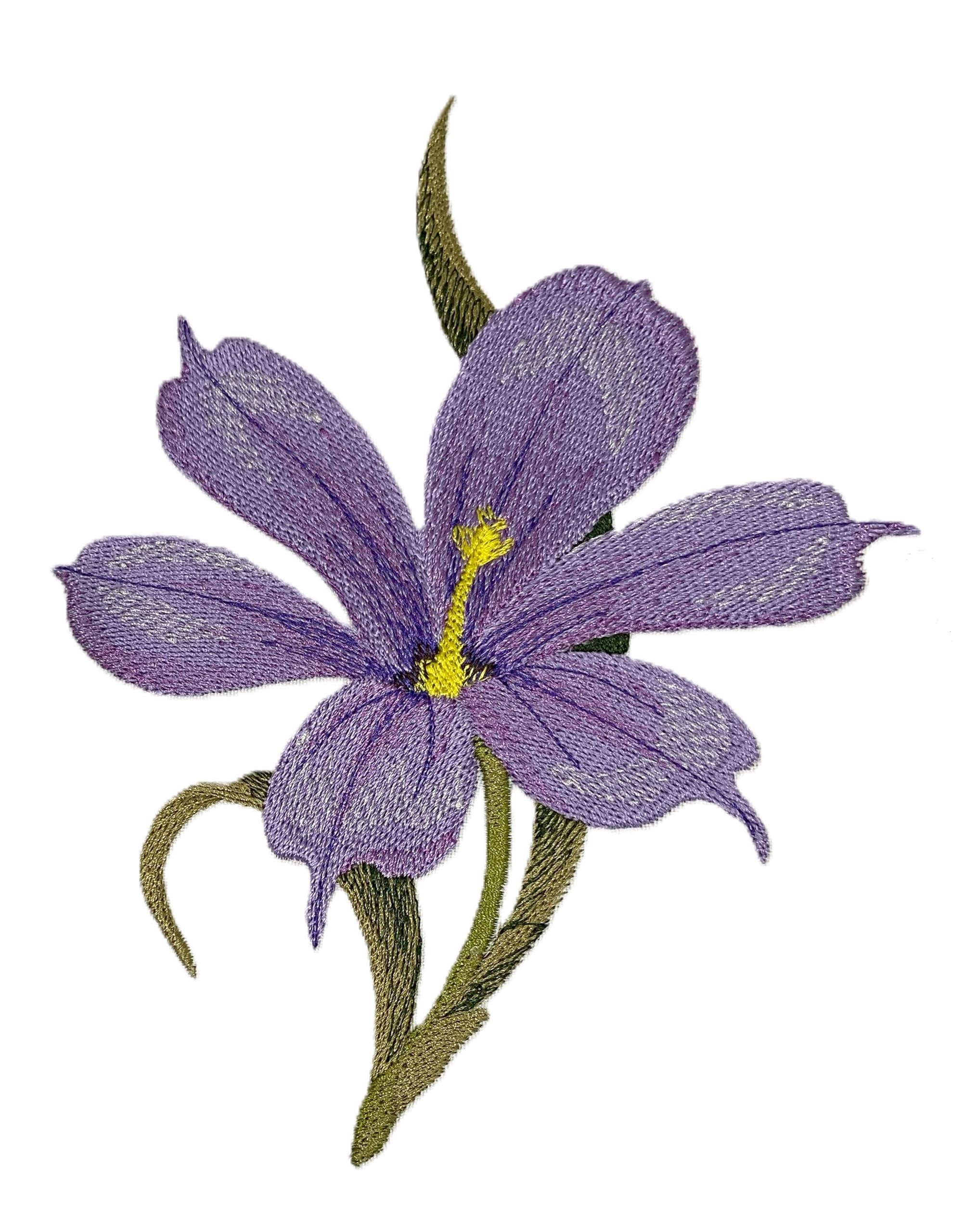 Parche bordado para planchar o coser con diseño de flor de iris y hierba de ojos azules [5,78" (ancho) x 7,37" (alto)]
