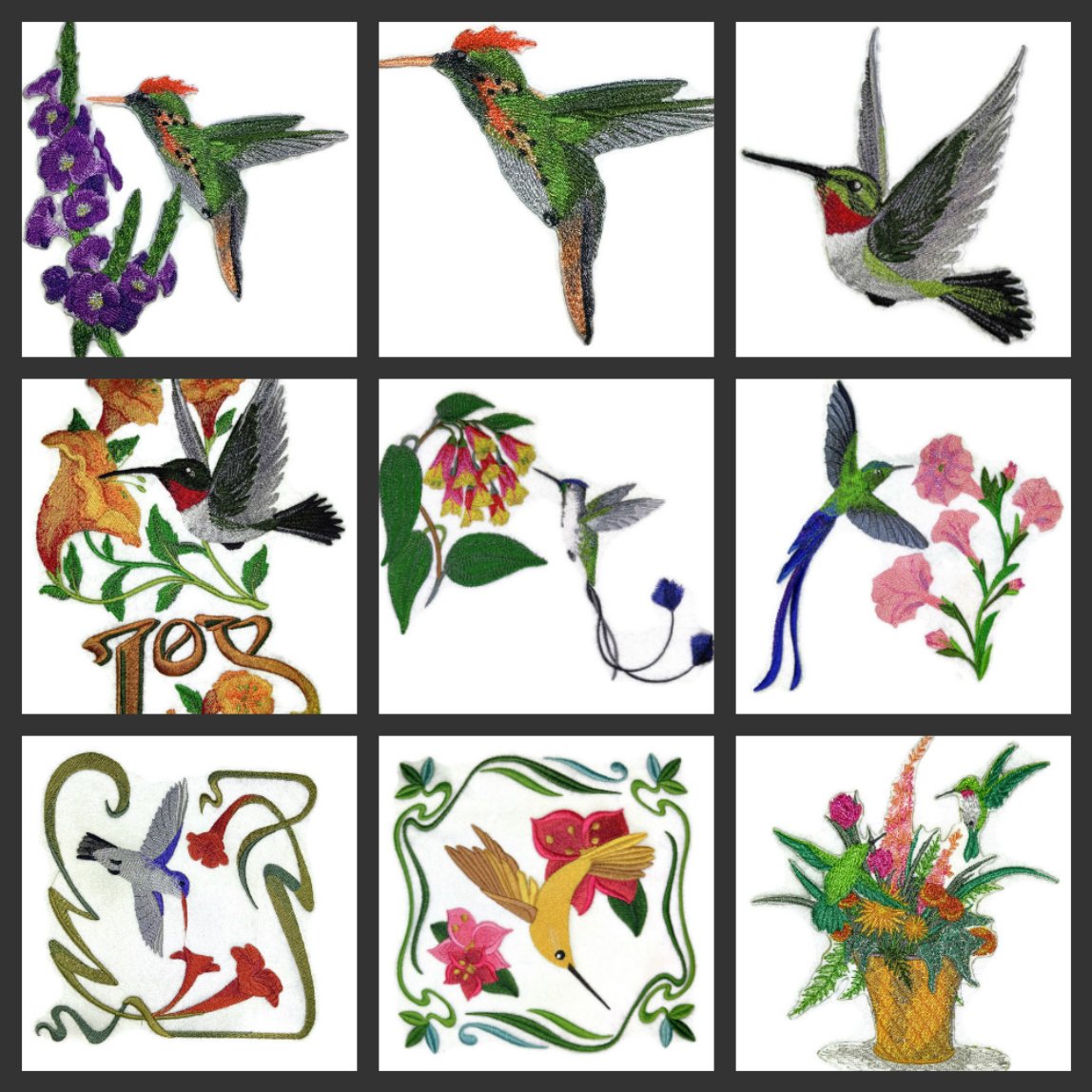 Naturaleza entretejida en hilos, aves asombrosas [Elegante grabado de colibrí] [Personalizado y único] Parche bordado para planchar o coser [8,55" x 6,8"] [Hecho en EE. UU.]