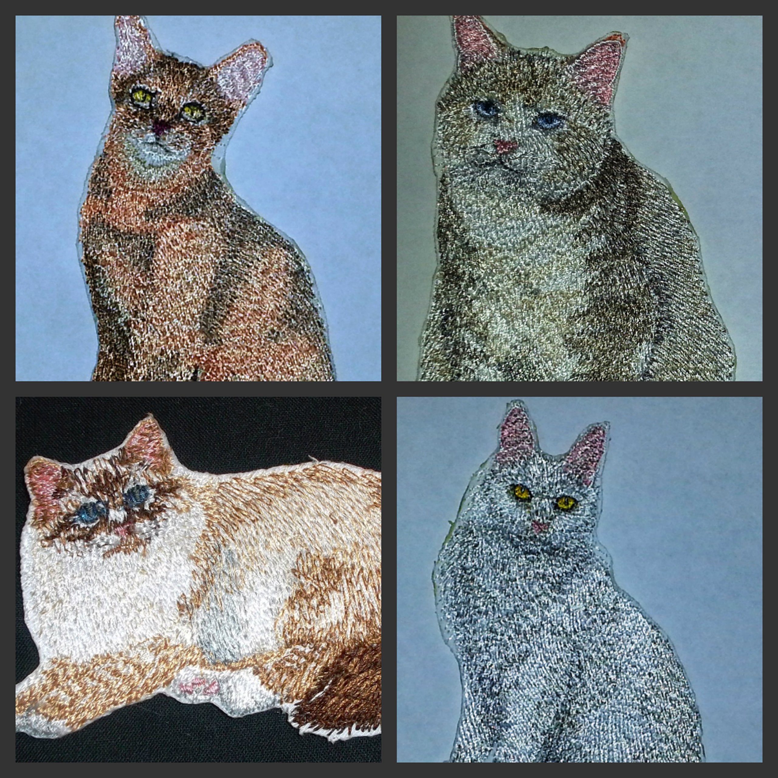 Impresionantes retratos de gatos personalizados [Gato de Angora (Turco)] Parche bordado para planchar o coser [11,4 cm x 8,9 cm] Hecho en EE. UU.