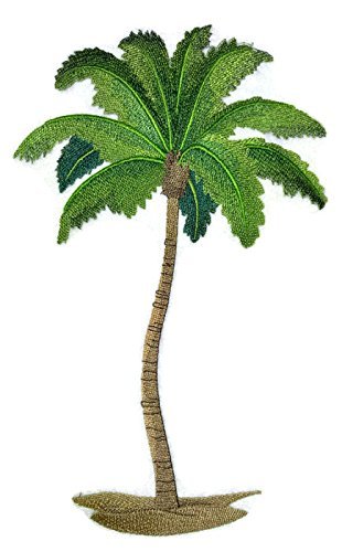 BeyondVision Nature Weaved in Threads, Palm Tree Oasis [Custom and Unique] Embroidered Iron on/Sew Patch (6.9" x 11") [Made in USA]