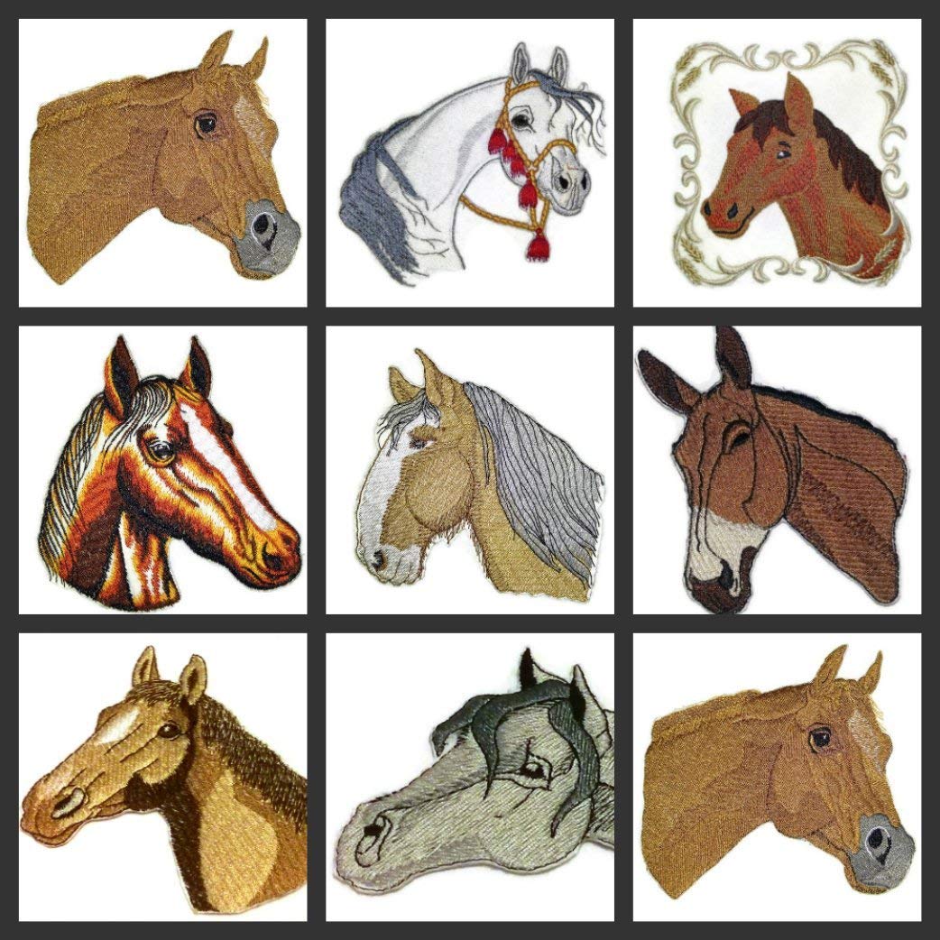 BeyondVision Custom and Unique Horse Face [White Arabian Horse Face ] Embroidered Iron On/Sew Patch (5.3" x 5") Made in USA