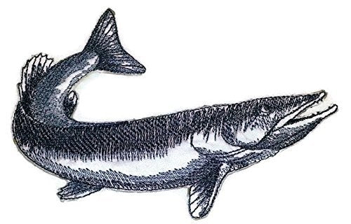 Nature's Bounty Beautiful Custom Fish Sketch [Northern Pike Fish ] Embroidered Iron On/Sew Patch (5" x 4.1") Made in USA]